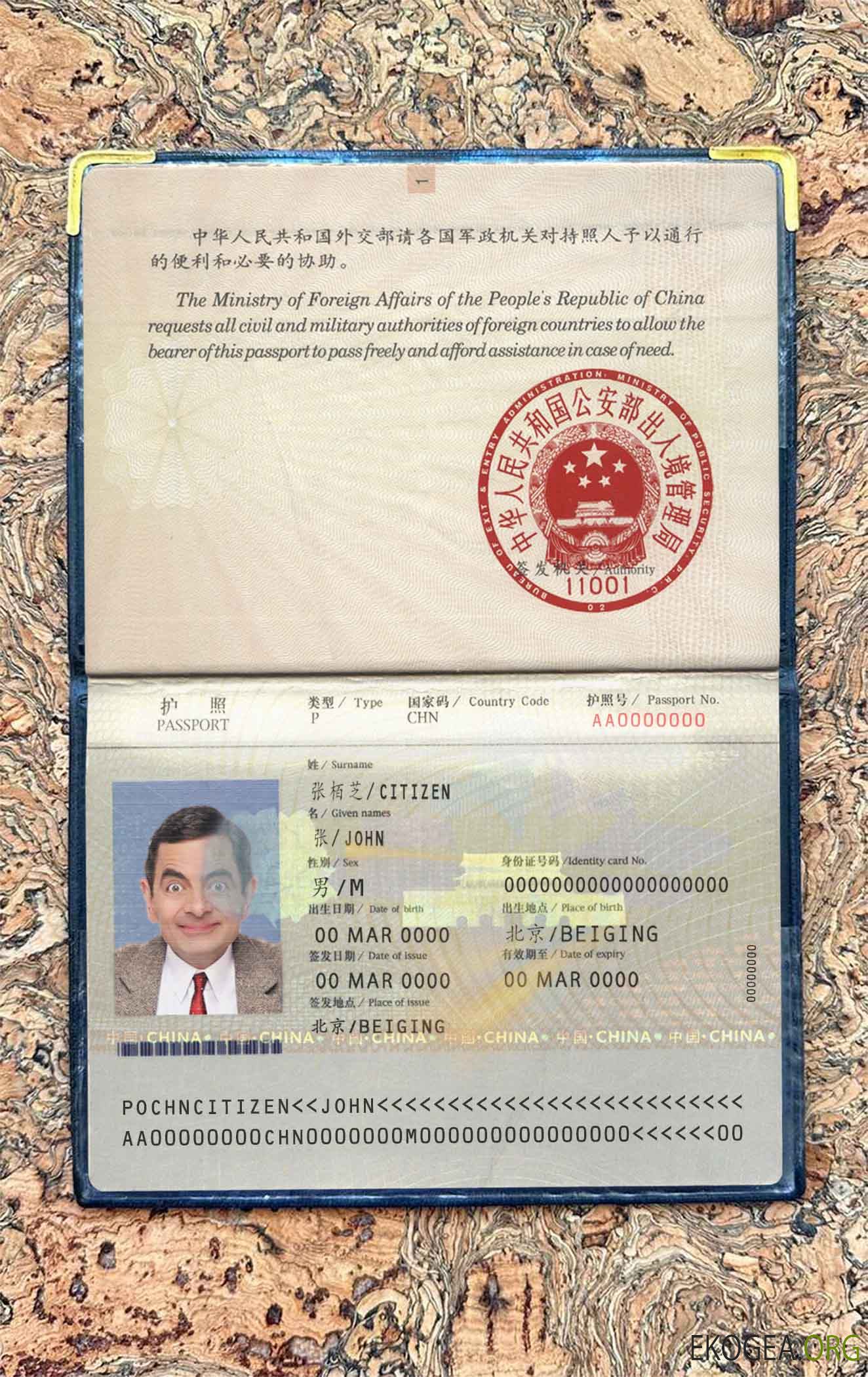 Aperçu photo du China Pass (2007 2009)